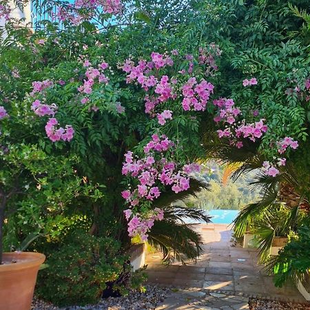 Bed and Breakfast Cortijo La Haza Iznájar Exterior foto