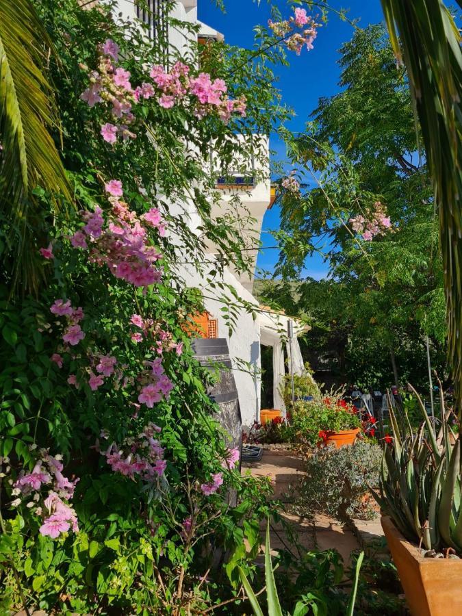 Bed and Breakfast Cortijo La Haza Iznájar Exterior foto